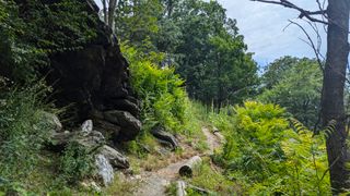 A curve in the trail with an overhanging rockface on the left and a clearing on the right.