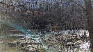 Looking over the running river to the other side of the clearing. There are trees clustered together, but the sun has created an aesthetic ray effect on the image.