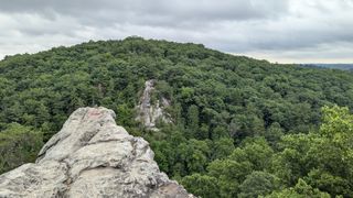 Looking outward from the top of King and Queen seat, a landscape view of the trees.