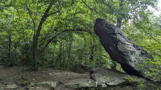 A large boulder stands angled upwards with a curved branch from a tree shaping the opposite side.