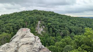 Looking outward from the top of King and Queen seat, a landscape view of the trees.
