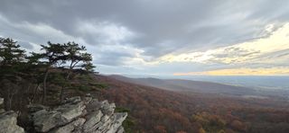 Trees colored red and orange for the fall, seen from the top of a rocky overlook.